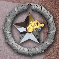 Венок вечный огонь чугун звезда нержавеющая сталь в Абакане (518577)