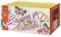 Салют Салют да любовь ЕС553 купить от производителя ФейерЛэнд — Абакан