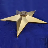 Звезда вечный огонь (1628) поставка комплект горелка ГВД 379 10 89 00 ПС ø 1100 мм. пустотелая  в Абакане
